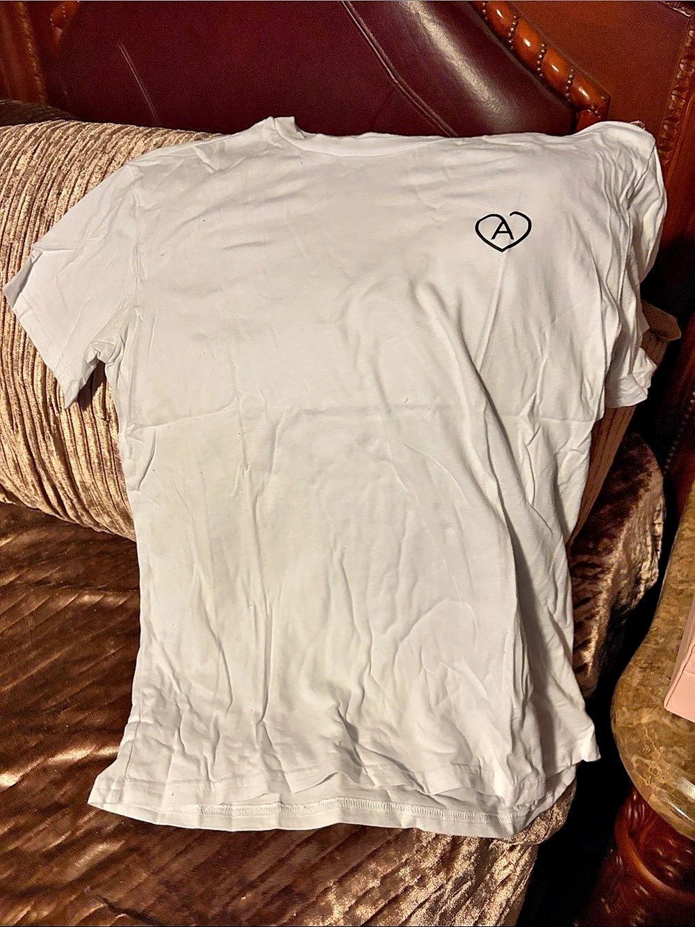 ARITZIA Short Sleeve Logo Tee in White